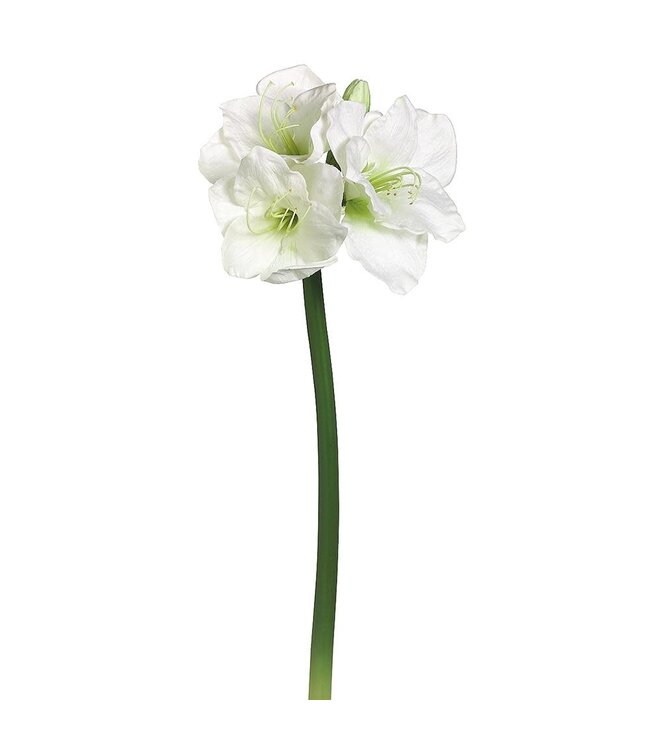 29" Amaryllis Spray White