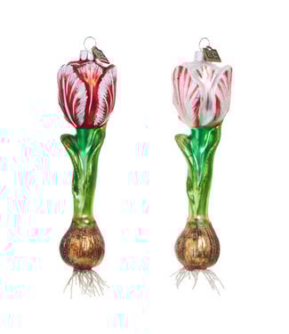 EC 6.5" Tulip Bulb Ornament - Sold Individually
