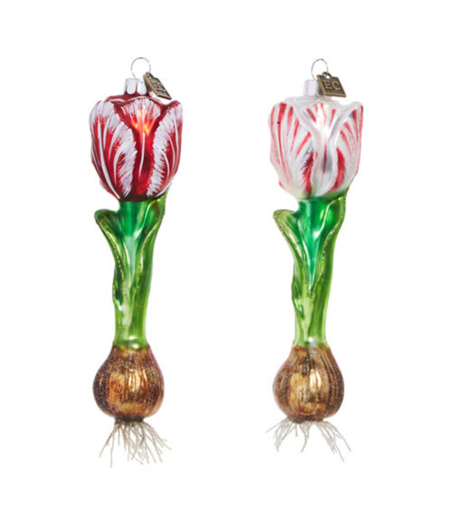 EC 6.5" Tulip Bulb Ornament - Sold Individually