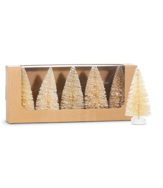 4" Box of Snowy Natural Bottle Brush Trees