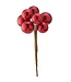 7” Mixed Size and Finish Vacuum Plated Ball Pick