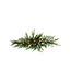 42" Real Touch Norfolk/Spruce/Juniper Swag