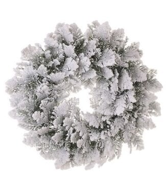 22” Snowy Acadia Cedar Wreath