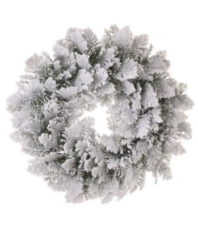 22” Snowy Acadia Cedar Wreath