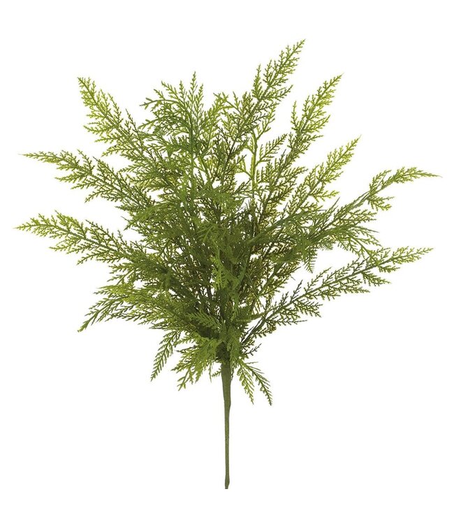 24" Soft PE Cedar Spray  Green