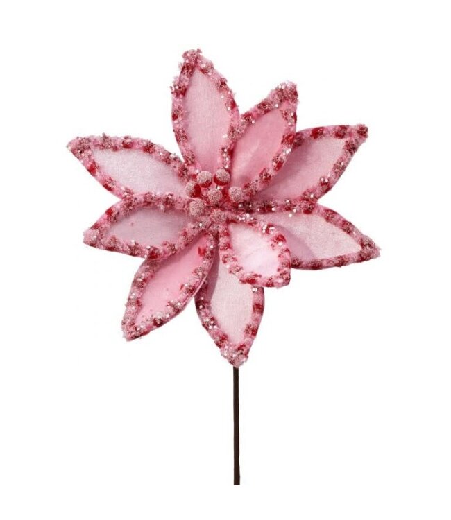 22" Candy with Snowglitter Poinsettia Stem