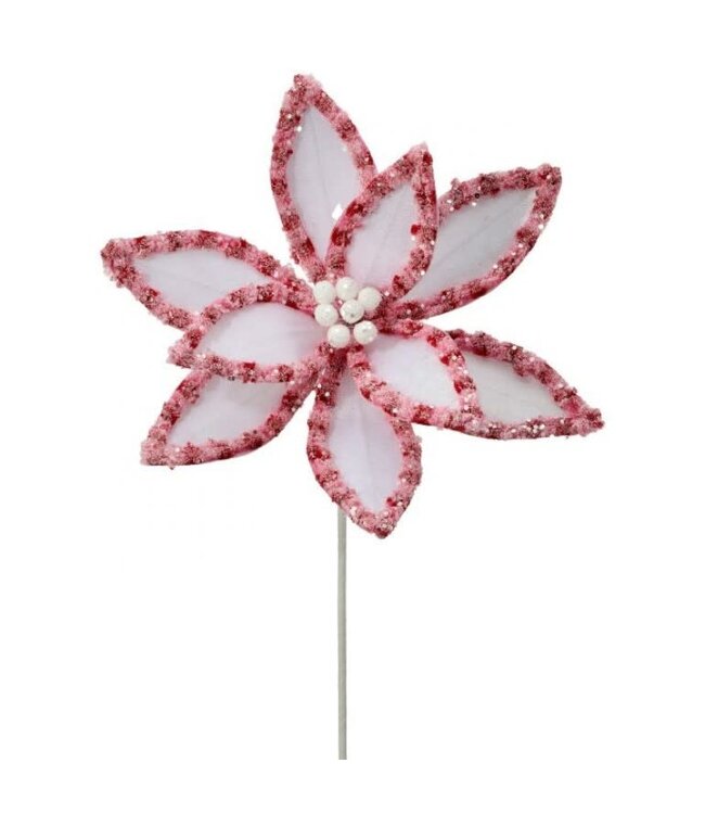 22" Candy with Snowglitter Poinsettia Stem