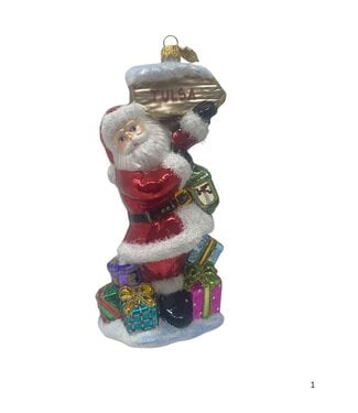 Special Delivery from North Pole