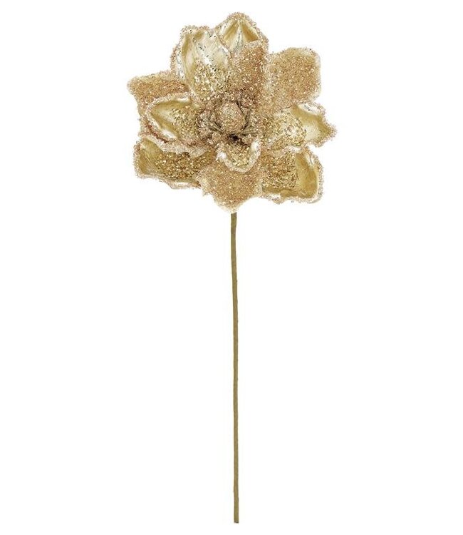 20" Beaded Magnolia Spray Champagne