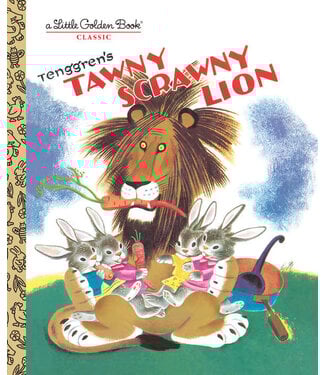 Tawny Scrawny Lion