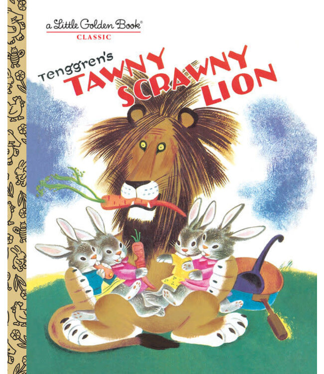 Tawny Scrawny Lion