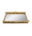 Mirror Tray w/ Gold Frame & Intricate Floral