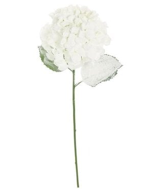 FROSTED HYDRANGEA SPRAY,27" with 8" BLOOM, WHITE