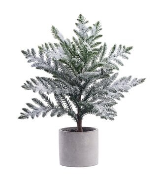 15.5" Snowed Pine Tree in Cement Pot Green White