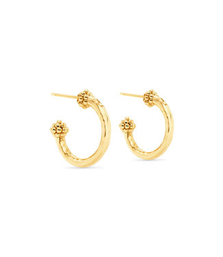 Berry Slice Small Hoop Earrings - Gold