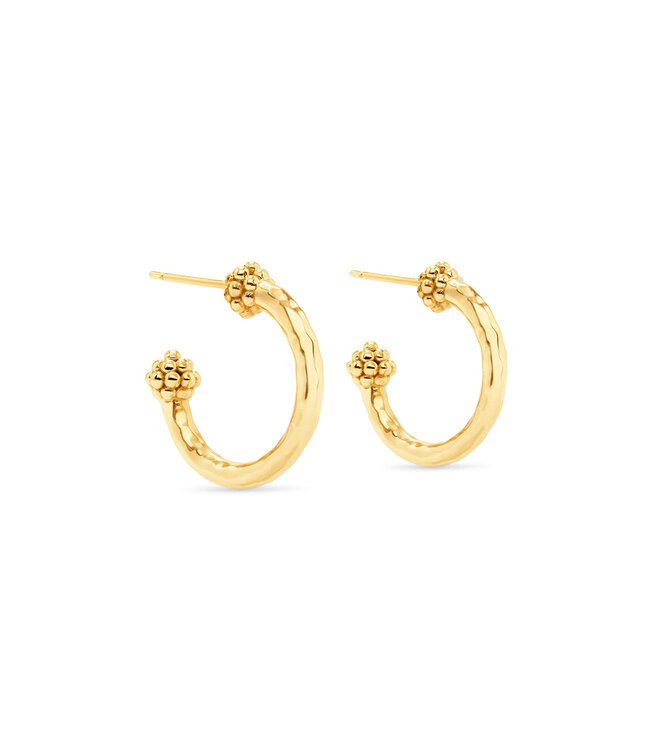 Berry Slice Small Hoop Earrings - Gold