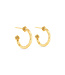 Berry Slice Small Hoop Earrings - Gold