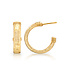 Cleopatra Classic Medium Hoop Earrings - Gold