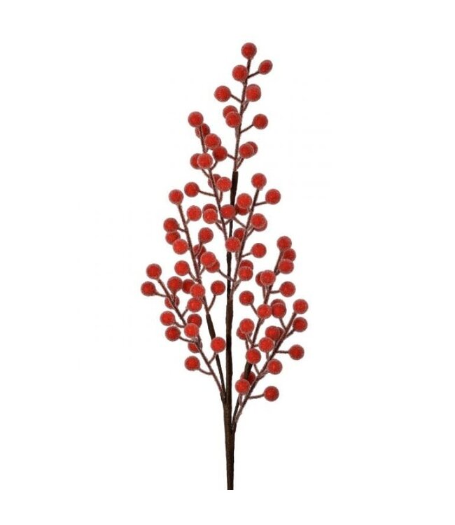 24" Beaded Berry Ball Spray Red
