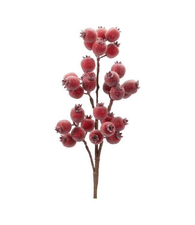 21"H Berry Spray Styrofoam