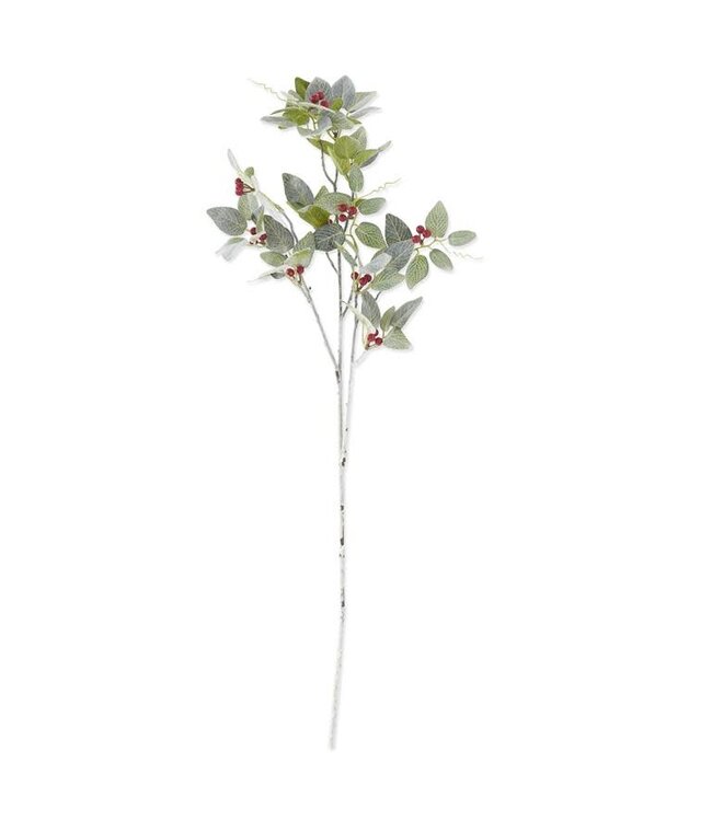 36 Inch Glittered & Flocked Fittonia Stem W/Red Berries