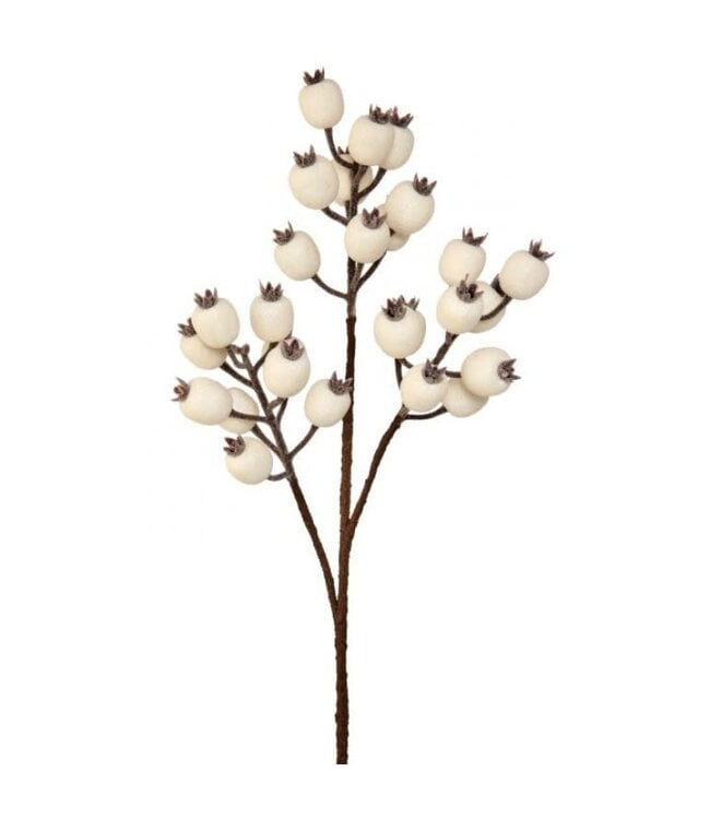 24" Icey Wp Pomegranate Berry Spray