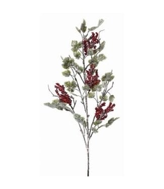36" Frosted Mini Grape Leaf & Berries Spray