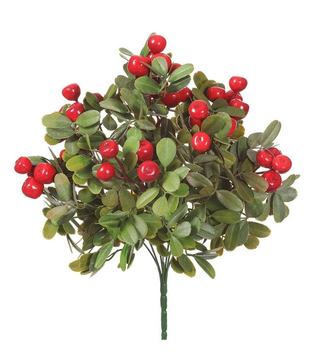 13" Crabapple Bush Red Green