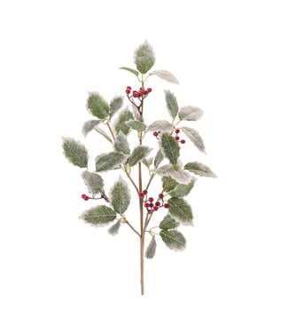 Holly Spray