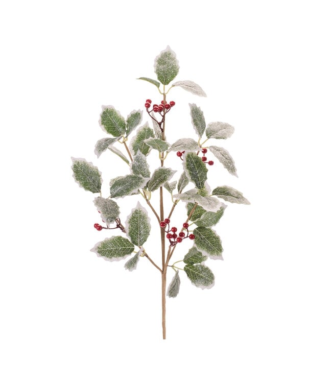 Holly Spray