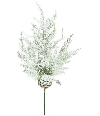 21” Snowy Bubble Cedar Spray With Cone Two-Tone Green