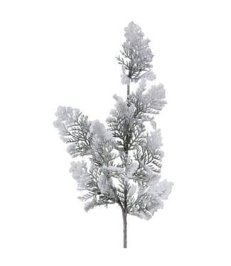 24" Snowy Acadia Cedar Spray