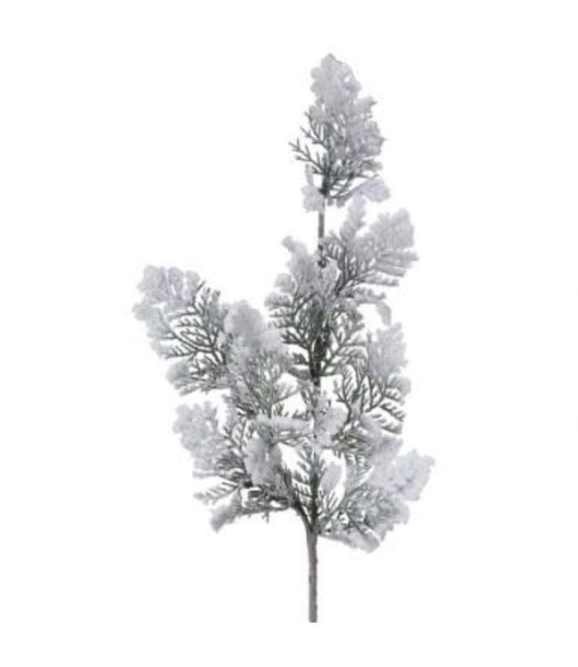 24" Snowy Acadia Cedar Spray