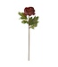Faux Dried Peony Stem