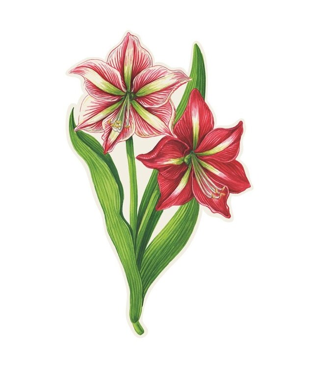 HESTER & COOK Amaryllis Table Accent