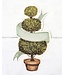 HESTER & COOK Topiary Table Accent
