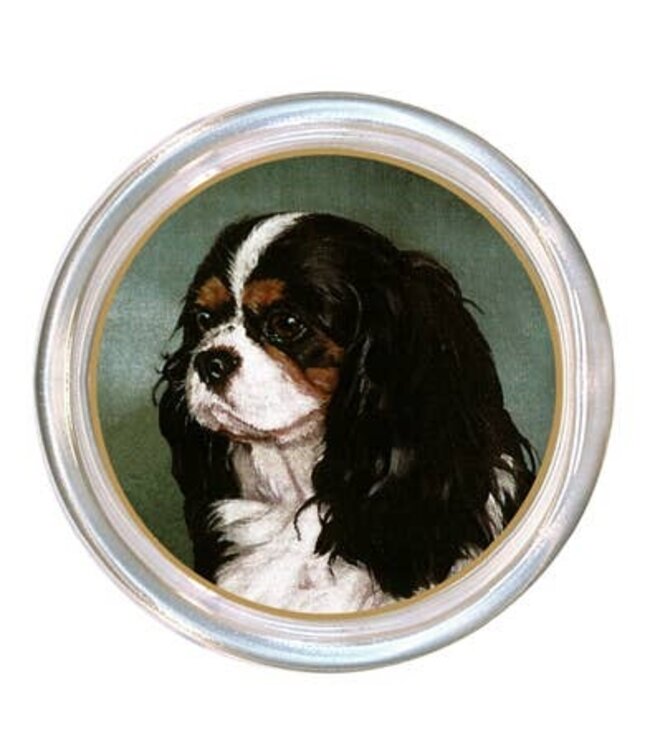 Coaster Tri-colored King Charles Spaniel
