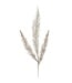 29" Glittered Pine Spray Champagne