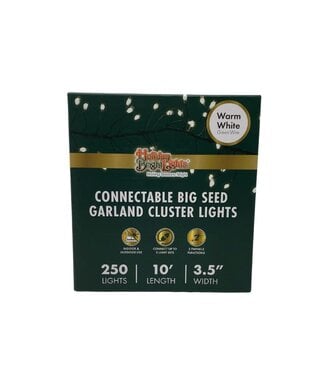 Warm White Twinkle/Steady Big Seed Cluster Micro Light Connectable