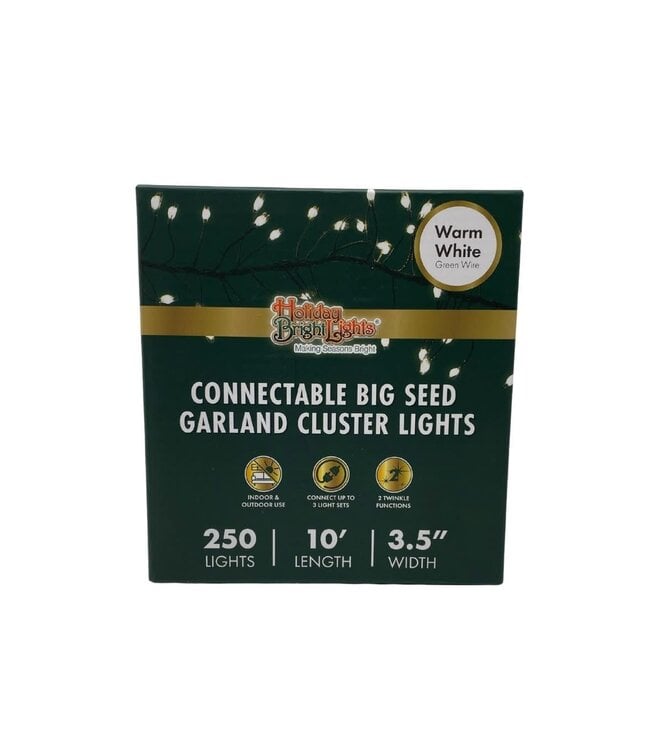 Warm White Twinkle/Steady Big Seed Cluster Micro Light Connectable