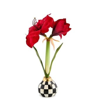 MACKENZIE CHILDS Courtly Check Amaryllis Bulb Arrangement