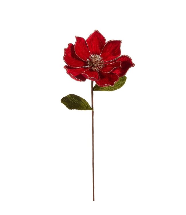 24" Red Magnolia with Gold Glitter Edge Stem