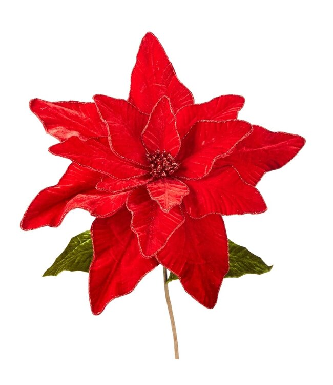 32" Red Velvet Poinsettia Stem