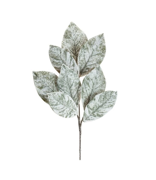 32.5"H Magnolia Leaf Spray