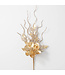 Gold Magnolia Berry Spray
