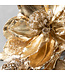 Gold Magnolia Berry Spray