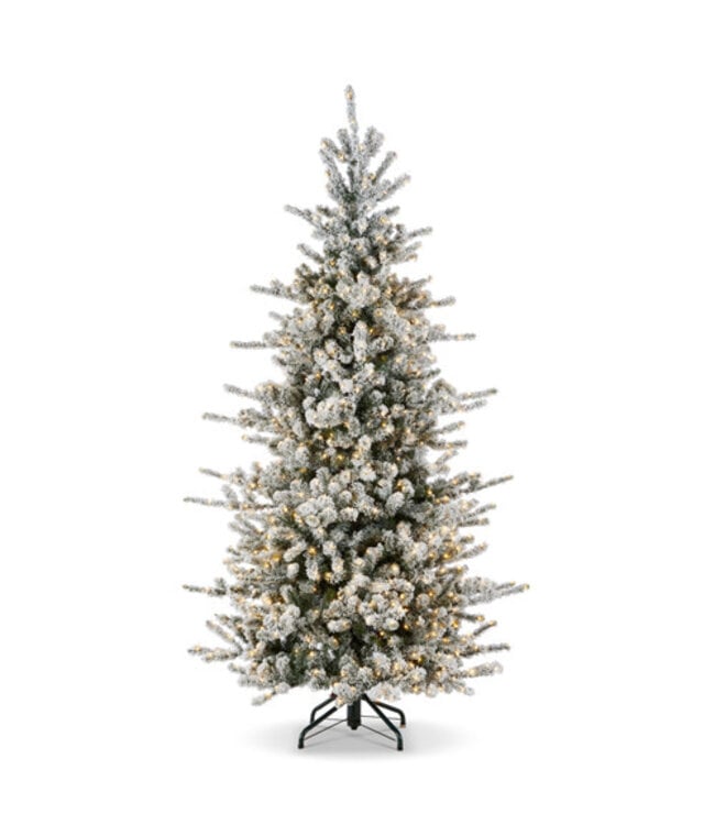 DC” 12’ Snowy Rocky Mountain Spruce With Brilliant Led Lights