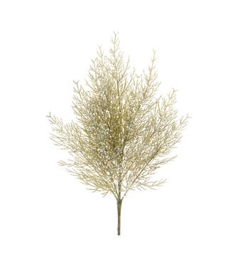 Plastic Cedar Spray