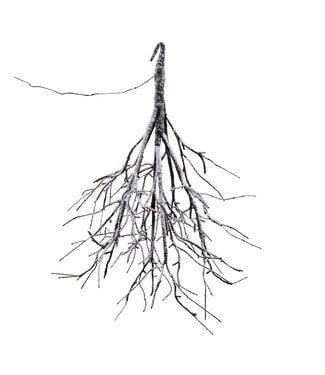 LED Branch w/108 Lights