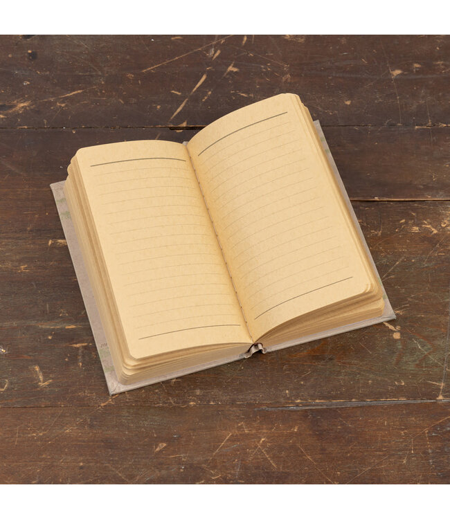 Fawns and How to Care for Them Journal